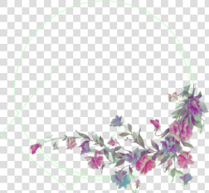  verde  flores  flowers  flor  green Circle  marco   Rose  HD Png Download