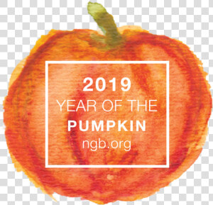 Pumkin Png  Transparent Png