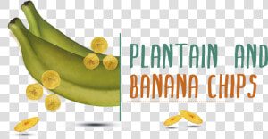 Saba Banana  HD Png Download