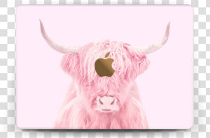 Pink Bull Skin Macbook 12”   Pink Bull  HD Png Download