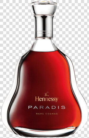 Hennessy Paradis  HD Png Download