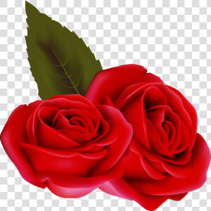 Bouqet De Roses Rosa Fleur Rouge Passion St Valentin   Rose Rouge Fond Transparent  HD Png Download