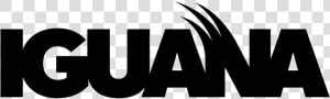 Iguana Png  Transparent Png