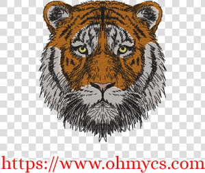 Siberian Tiger  HD Png Download