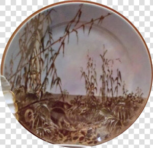 Transparent Dinner Plates Clipart  HD Png Download