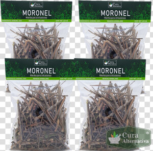 Planta Moronel Hierba   Planta Moronel  HD Png Download