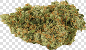 Jack Herer Cannabis Nug   Jack Herer Sativa  HD Png Download