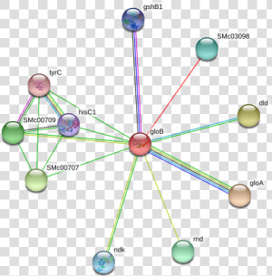 Glob Protein   Circle  HD Png Download