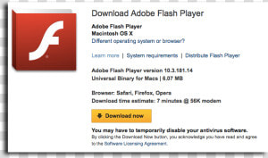 Flash Player Update Notification  HD Png Download