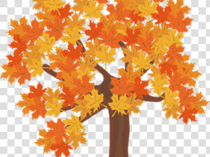 Fall Trees Clipart   Fall Tree Transparent Background  HD Png Download