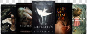 Novel  HD Png Download