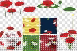 Poppies And Daisies Example Image   Poppy  HD Png Download