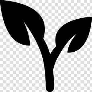 Leaves Of A Plant   Plant Icon Black And White  HD Png Download