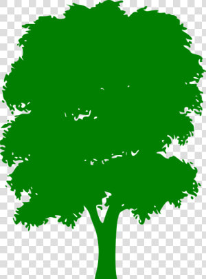 Tree  Green  Plain  Nature  Wood  Outside  Silhouette   Silhouette Tree Png Vector  Transparent Png
