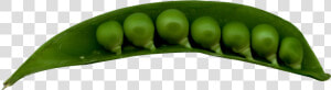 Snap Pea  HD Png Download