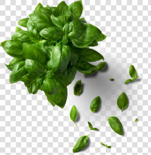 Top View Pizza Ingredients Png  Transparent Png