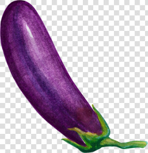 Eggplant Vegetable Cartoon   Eggplant Transparent  HD Png Download