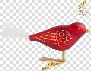 Finch  HD Png Download