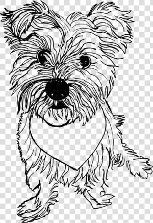 Sporting Lucas Terrier  HD Png Download