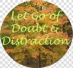 Let Go Of Doubt Distraction   Circle  HD Png Download