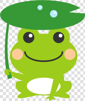 Frog Download Cartoon   Cute Frog Cartoon Png  Transparent Png