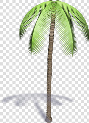 Palmera 3d Png  Transparent Png