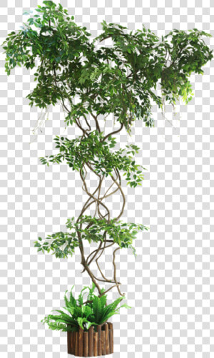 Ginkgo Fake Branch Simulation Leaves Balcony Package   Artificial Ivy Plants Uk  HD Png Download