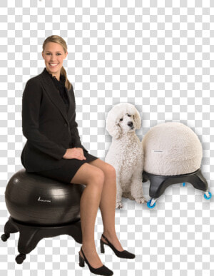 Best Chair For Back Pain   Sitting  HD Png Download