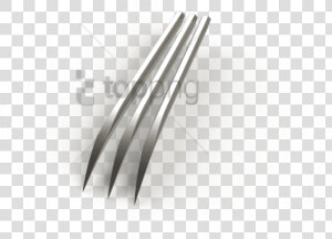 Transparent Claw Marks Clipart   Wood  HD Png Download