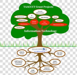Select Grant Projects In Information Technology   Cartoon Trees With Roots  HD Png Download