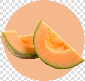 Cantaloupe  HD Png Download