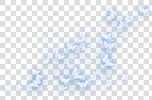 Frost Overlay Png     Png Fonlar  Transparent Png