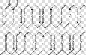 Winding Distribution Diagram Of Path A 1 Of Phase A   Pattern  HD Png Download