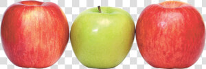 Apple Png   Apple Green Red Png  Transparent Png