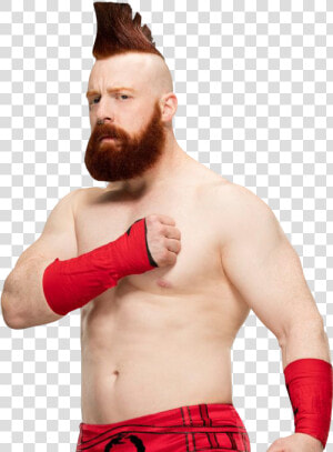 Sheamus Png Pic   Wwe Sheamus Png  Transparent Png