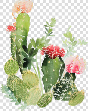 Nopales Sticker By Marina  HD Png Download
