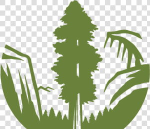 Sc Logo Vert Web Green   Sierra Club Foundation Logo  HD Png Download
