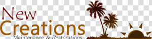 Html5 Icon   Attalea Speciosa  HD Png Download