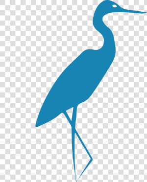 Blue Heron Png  Transparent Png