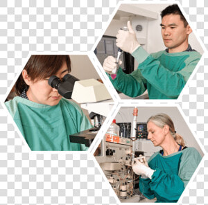 Anzac Research   Clinic  HD Png Download