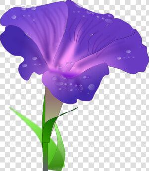 Digital Display With Good Morning Svg Vector File    Morning Glory Flower Clipart  HD Png Download