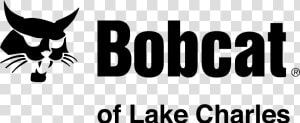 Bobcat  HD Png Download