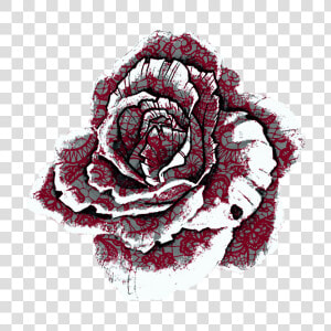 red  lace  rose   Rose Tumblr Flower Art  HD Png Download