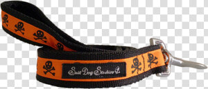 Orange On Black Skulls Ribbon Dog Lead  HD Png Download