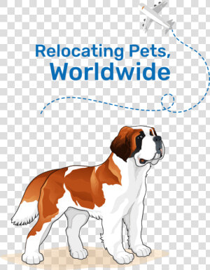 Pet Relocating Specialists   St Bernard Vector Png  Transparent Png