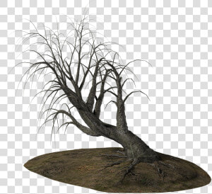 Alberi Morti Png  Transparent Png