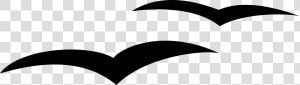 Flying Silhouette Seagull Clipart  HD Png Download