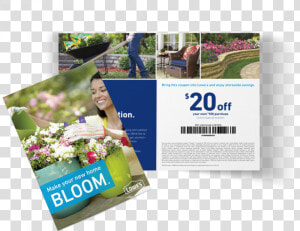 Lowes Png  Transparent Png