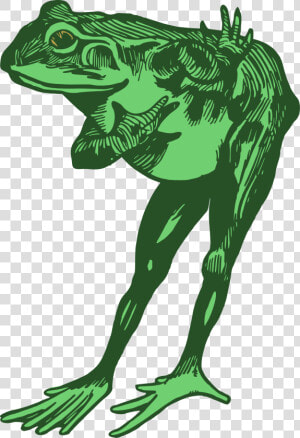 Green Frog Clipart Bull Frog   Frog Bowing Clipart  HD Png Download