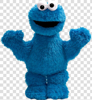 Supermariologan Wiki   Cookie Monster Plush  HD Png Download